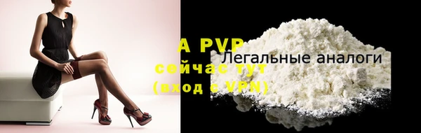 стаф Белоозёрский