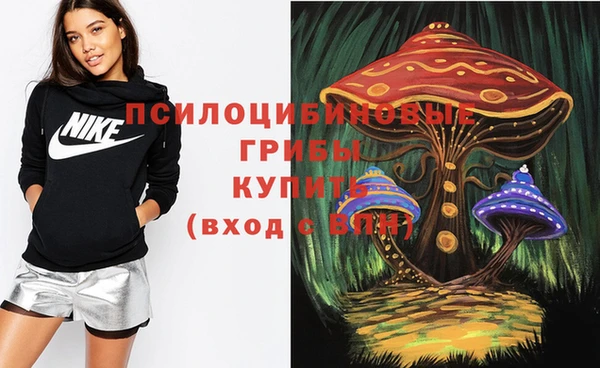 мет Богородицк