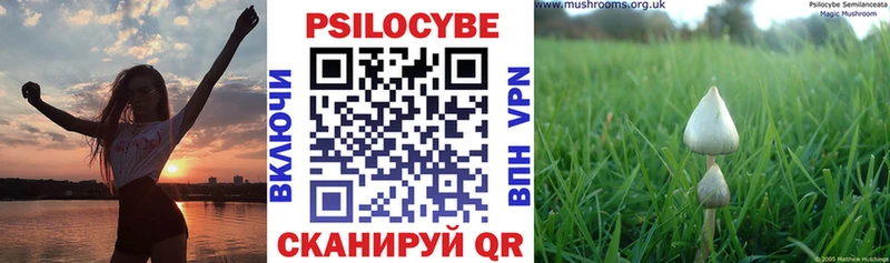 kraken зеркало Жуков Галлюциногенные грибы ЛСД